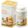 ARMORES Srl ARMORES Zenzero 60 Cps