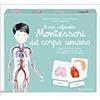 L'Ippocampo Ragazzi Il mio cofanetto Montessori del corpo umano Marie Eschenbrenner;Sabrine Hofman