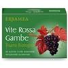 ERBAMEA Srl Tisana Vite Rossa Gambe Biologica 20 Bustine - Tisana Biologica per il Benessere delle Gambe, Sollievo Naturale