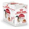 Royal Canin Instinctive Cibo Umido per Gatti Adulto in Salsa - Bustina da 85 g