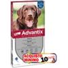 ELANCO ADVANTIX 25/40 KG 4 PIPETTE acquisto minimo 10pz