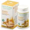ARMORES Srl ARMORES Zenzero 60 Cps
