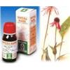 SPECCHIASOL Srl Specchiasol Echinacea 59 Tintura Madre 50 ml