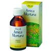 Erboristeria Magentina Olio di Arnica Montana 100 ml - Rinforzante Muscolare e per Dolori Muscolari