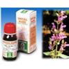 SPECCHIASOL Srl Specchiasol Soluzione Idroalcolica 25 Salvia 50 ml