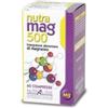 FARMADERBE Srl Farmaderbe Mag 500 Integratore Magnesio 60 Compresse