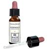 Erba Vita Group Agrimony - Essenza Floreale 10ml per Benessere Psicologico