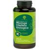 RedMoringa Moringa Oleifera Bio - Integratore Naturale in Capsule Vegetali per Digestione e Metabolismo - 90 cps
