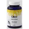 PHYTOITALIA Olivo - Integratore alimentare con 60 capsule a base di olivo, ricco di triterpeni e flavonoidi