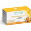 ARMORES SRL Armores Pappa Reale Fresca 10 Flaconcini Da 10 Ml