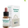 Forza Vitale Ecosol Quintessenza di Canfora - Integratore Alimentare Gocce 10ml
