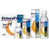 Nextmune Enterofilus - Mangime Complementare Probiotico per Cani e Gatti, 12 Fiale da 10 ml