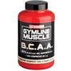 Enervit Gymline BCAA 2:1:1 - Integratore Alimentare di Aminoacidi Ramificati con Vitamine B1 e B6 - 120 Compresse da 1g