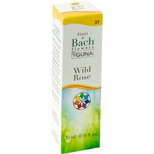 GUNA SpA Wild Rose Gocce 10ml - Fiori di Bach per Apatia e Vitalità, Senza Glutine