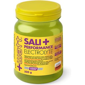 Watt Sali Performance Electrolyte 500 gr - Integratore Gluten Free con Maltodestrine, Aminoacidi e Caffeina per Performance di Resistenza