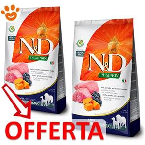 Farmina Dog N&D Pumpkin Adult Medium Maxi Agnello, Zucca e Mirtilli - Offerta [PREZZO A CONFEZIONE] Quantità Minima 2, Sacco Da 12 Kg