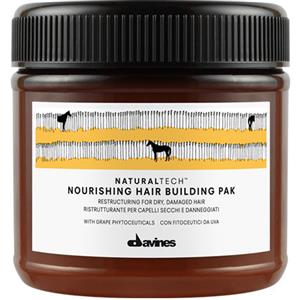 Davines naturaltech nourishing hair building pak