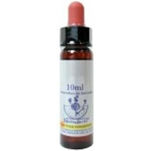 Healing Herbs Flowers Bach Center Fiori Di Bach Five Flowers (rimedio Di Emergenza) 10 Ml
