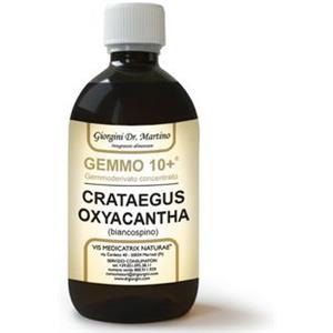 Giorgini Dr. Martino Servis Dr. Giorgini Gemmo 10+ Biancospino 500 Ml Liquido Analcoolico
