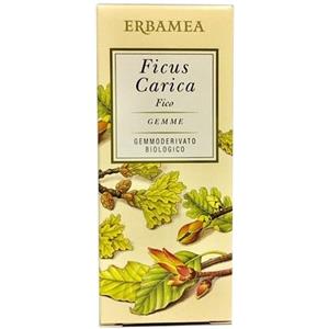 ERBAMEA Srl Erbamea, Ficus Carica, 50 ml