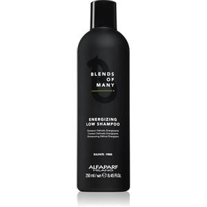 Alfaparf Milano Blends of Many Shampoo Energizzante 250 ml - Rinforzante per Capelli Sottili e Deboli