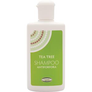 VIVIDUS Srl Tea Tree Shampoo Antiforfora 200ml - Pulisce il cuoio capelluto e contrasta la forfora con Tea Tree e Salice Bianco