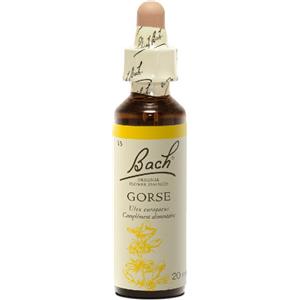 SCHWABE PHARMA ITALIA Srl Gorse Fiori di Bach® Originali 20ml