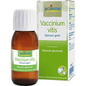 BOIRON Srl Vaccinium Vitis Giovani Getti MG Boiron 60ml