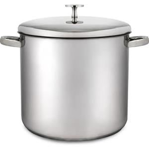 Master Class MasterClass Pentola per brodo, pentola per brodo in acciaio inox a induzione con coperchio, pentola grande per zuppe, stufati e brodi, lucidata a specchio, 5,5 litri, argento