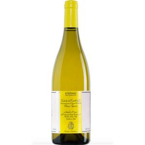 Santa Barbara Verdicchio dei Castelli di Jesi DOC Classico Superiore 2022 - Bianco 75cl, 13,5% vol