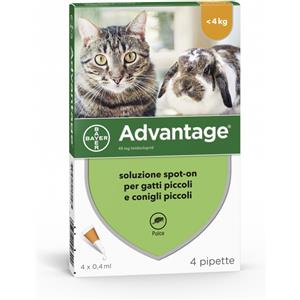 Advantix Advantage Gatti piccoli e conigli - 4 pipette