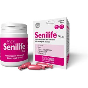 Innovet Senilife Plus - Integratore per Cani e Gatti Anziani, 30 Capsule per Migliorare Funzioni Cognitive e Memoria