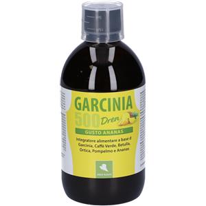 ABBE'ROLAND Srl Abbè Roland, Garcinia Dren Ananas, 500 ml
