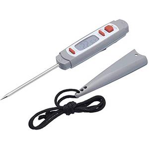 Taylor Pro Sonda Termometro Digitale per Carne in Plastica/Acciaio Inox con Custodia Protettiva Antimicrobica, Colore Grigio, 18 cm