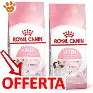 Royal Canin Kitten Cibo Secco per Gattini 10 kg - Alimento Completo per Gattini da 4 a 12 Mesi