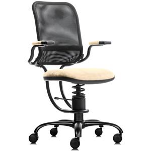 Sedie ergonomiche, prezzi economici - SpinaliS Ergonomic, metallo-nero, k119-beige