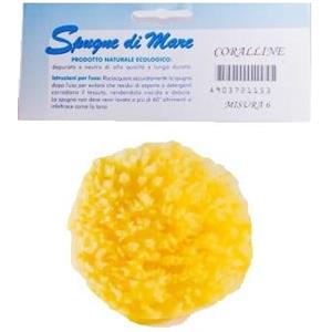 BIEMMEFARMA Spugna Mare Naturale Small - Alta Qualità, Ecologica e Duratura