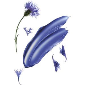 Klorane Shampoo Klorane alla Centaurea per capelli grigi, 200ml
