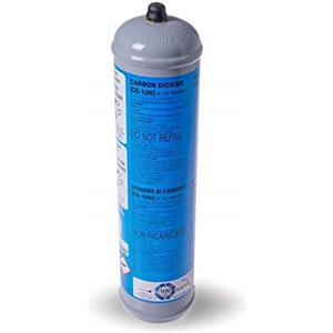 FILTRIACQUAITALIA BOMBOLA CO2 USA E Getta 600 Grammi E290 Alimentare per GASATORI Acqua Attacco 11 MM