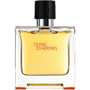 Hermes Terre d`Hermès eau de parfum 75ml