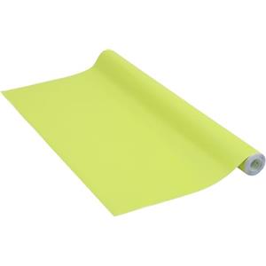 Venilia Pellicola adesiva, Verde anice Verde chiaro, 45cm x 2m, Spessore 160μ, Pellicola autoadesiva per mobili o cucina, carta da parati, PVC senza ftalati, Prodotto in UE