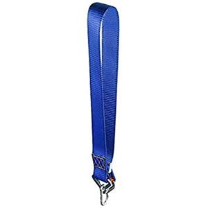 Aoneky Cinghia 60-100cm per Fissare il Sacco Boxe, Carico Massimo 220KG, Regolabile - Supporto da Parete, Accessorio per Sacco da Boxe, MMA, Arti Marziali, Altalena (1 anello)