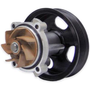 Ashika Pompa Acqua 35-06-605 - Altezza 108mm, Distanza fori 29mm, 4 fori di fissaggio