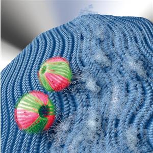 Wenko Acchiappa peli per lavatrice