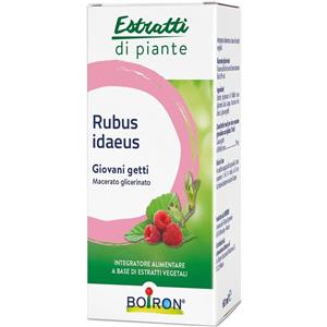 BOIRON SRL RUBUS IDAEUS BOI MG 60ML