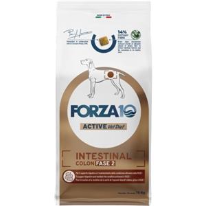 Forza 10 Intestinal Colon Fase 2 - Alimento dietetico completo per cani adulti, 10 kg
