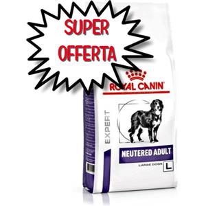 Royal Canin Dieta Cane Neutered Adult Large Dog 3,5 kg - Alimento completo per cani adulti sterilizzati di taglia grande