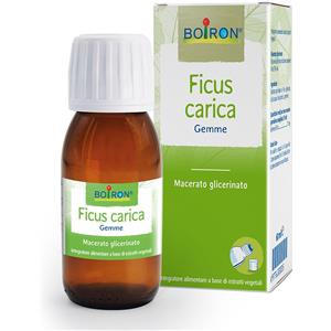 Ficus Laboratoires Boiron BOIRON® Ficus Carica Gemme 60 ml Soluzione orale