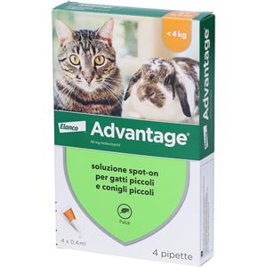 Elanco Advantage Spot On 40 mg - Antiparassitario per Gatti e Conigli Piccoli (fino a 4 kg) - 4 Pipette da 0,4 ml