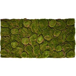 REPITERRA Terrario parete posteriore decorazione sfondo 3D muschio aspetto naturale 116x58 cm per terrari 120x60 cm